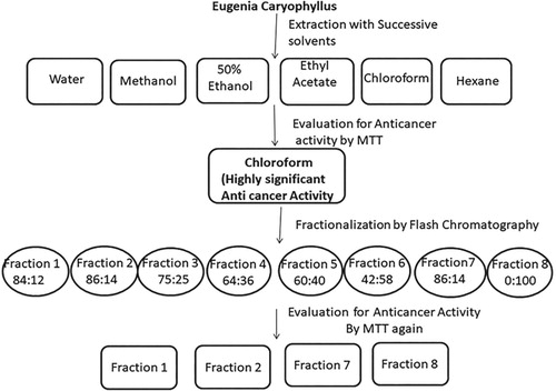 Figure 1. Extraction and fractionation protocol of the plant material.