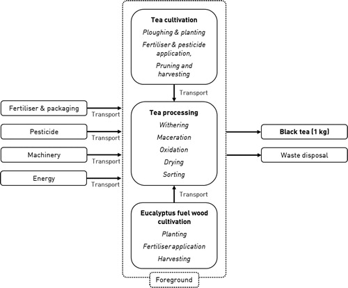 Figure 1. Processes considered in the greenhouse gas footprint of black tea production at UTKL.