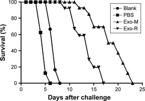 Figure 7 Survival curves of immunized mice after Toxoplasma gondii challenge infections.Notes: BALB/c mice were challenged intraperitoneally with 1×103 tachyzoites of T. gondii RH strain (PBS or Exo-R group) or ME 49 strain (Blank or Exo-M group) 2 weeks after the final immunization (n=10 animals per group). Survival times were monitored daily and the comparison of differences between the experimental group and the control group was significant (p<0.05). These data are representative of three experiments with similar results.Abbreviations: Exo-R, exosomes from RH strain; Exo-M, exosomes from ME 49 strain; PBS, phosphate buffered saline.