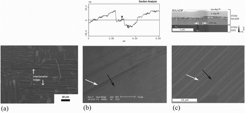 Figure 13. SEM images of similar deformation features near lamellar interfaces, interpreted as (a) ledges at lamellar interfaces [Citation123], i.e. interfacial sliding, (b) interlamellar cracking [Citation122], i.e. debonding of the lamellar interface, and (c) longitudinal slip in the γ-TiAl lamellae, near the lamellar interface [Citation124]. Above (b): AFM linescan across the feature reported as interlamellar cracking; above (c): scanning transmission electron microscopy (STEM) images of a slip step near an /γ interface. White arrows indicate the features of interest at the lamellar interfaces; black arrows are illustrative of AFM scan or cross-sectional imaging slice directions (reproduced with permission).