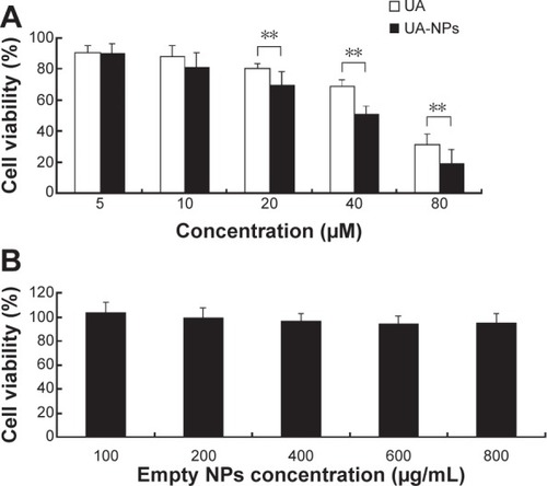 Figure 4 Cytotoxicity of UA and UA-NPs against H22 cells.Notes: (A) Dose-dependent inhibition profiles of UA and UA-NPs against H22 cells for 48 hours. (B) Cytotoxicity of empty NPs against H22 cells for 48 hours. **P<0.01 versus the equivalent dose of UA. Data are presented as mean ± SD (n=3).Abbreviations: NP, nanoparticle; SD, standard deviation; UA, ursolic acid; UA-NPs, UA-loaded poly(N-vinylpyrrolidone)-block-poly (ε-caprolactone) nanoparticles.