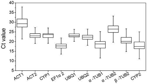 Fig. 1. Cycle threshold (Ct) values of the candidate reference genes across the experimental samples.Notes: The box represented the 25th and 75th percentiles of data. Whiskers represented the maximum and minimum values. Horizontal line within the box represented the median Ct value.