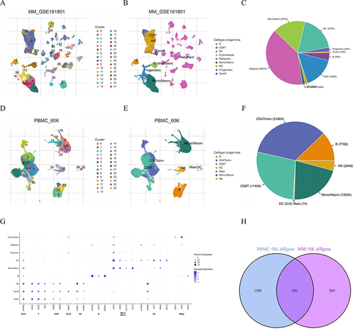 Figure 2 Identification of NK cells using scRNA–seq analysis in TISCH2 database. (A) Thirty–one clusters were identified in MM_GSE161801 dataset. (B) Nine cell types were defined in MM_GSE161801 dataset. (C) The pie chart of cell-type statistics in MM_GSE161801 dataset. (D) Twenty-six clusters were identified in PBMC_60K dataset. (E) Seven cell types were defined in PBMC_60K dataset. (F) The pie chart of cell-type statistics in PBMC_60K dataset. (G) The dot plot showed the relative expression levels of the marker genes in MM_GSE161801 cell type. (H) Venn diagram showing the 15 intersected cell types by the correlation and differential analysis.