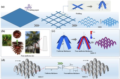 Figure 1. Meta-sandwich structures inspired by Kirigami with uniform (MSS-U) and non-uniform thicknesses (MSS-N): (a) Schematic diagram of Kirigami-inspired structures; (b) Natural biological materials; (c) Non-uniform thickness design of MSS-N; (d) MSS-U and MSS-N.