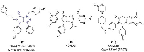 Figure 5. Structure and in vitro activity of exemplary MDM2 inhibitors based on bicyclic core (5 + 5 and 6 + 6): pyrrolidonopyrazole, pyrrolidonoimidazole, dihydro-isoquinolin-3-one scaffolds. The IC50 value for CGM097 was is from [Citation48].