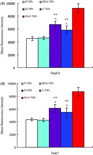 Figure 4. Intracellular fluorescence intensity of HCC cells internalizing P-NPs, BSA-NPs, H-NPs, C-NPs and H + C-NPs (*p < .05 vs. P-NPs and BSA-NPs; **p < .05 vs. H + C-NPs).