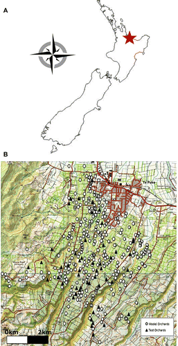 Figure 1  A, Geographic location of the Te Puke kiwifruit growing region within New Zealand; B, location of model orchards (○) and test orchards (▴) within the Te Puke growing region.