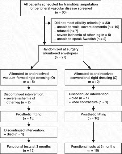 Figure 2. Flow chart of the trial.