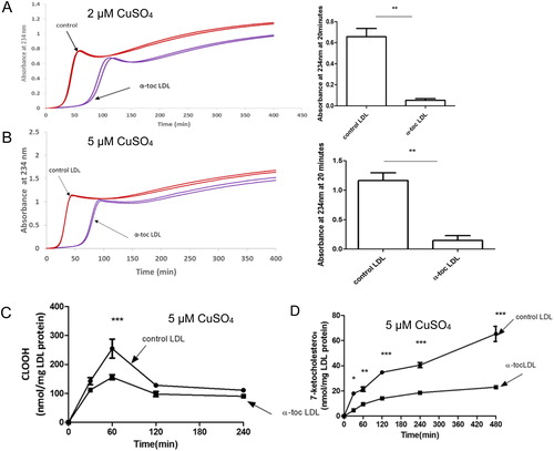 Figure 1. Oxidation of control LDL and LDL enriched with α-tocopherol by copper at pH 7.4. LDL (50 µg LDL protein/mL) was incubated with (A) 2 or (B) 5 µM CuSO4 at pH 7.4 and 37 °C. Oxidation was monitored by measuring the change in absorbance at 234 nm. The term absorbance is used here as LDL does not aggregate and scatter UV during oxidation under these conditions at pH 7.4. The graphs shown are representative examples of 4 independent experiments. The absorbance (mean ± SEM of 4 independent experiments) at 20 min was measured because it corresponds to substantial LDL oxidation but is before the decomposition phase. The levels of (C) cholesteryl linoleate hydroperoxide (CLOOH) and (D) 7-ketocholesterol in the presence of 5 μM CuSO4 were measured in 3 independent experiments. The absorbance values in (A, B) were compared by a t-test of 4 independent experiments. The CLOOH and 7-ketocholesterol levels were compared by a two-way ANOVA followed by a Bonferroni post-hoc test. *p < 0.05, **p < 0.01, ***p < 0.001.