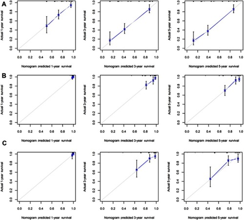 Figure S1 Calibration of the nomograms for 1-, 3-, and 5-year probabilities of survival. The x-axis shows the nomogram-predicted survival at 1, 3, and 5 years, and the y-axis shows the observed actual survival and 95% confidence intervals. (A) Calibration of nomogram A; (B) calibration of nomogram B; (C) calibration of nomogram C.