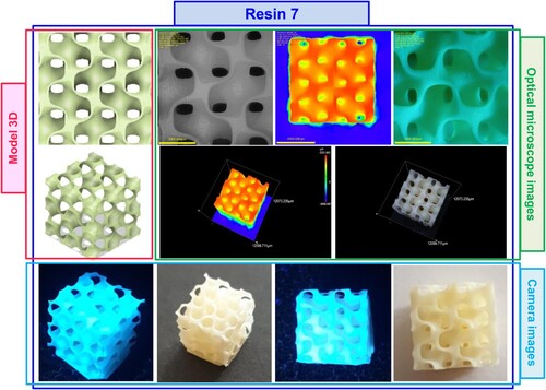 Figure 17. Photographs of the print obtained with resin 7 using DLP technology; images taken on an optical microscope and camera; images taken under visible light and with a UV flashlight.