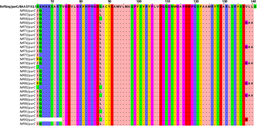 Figure 6 Multiple sequence alignment for the amino acid sequence of the mutated ParC protein among quinolone resistant Pseudomonas spp. clinical isolates demonstrating the missense mutations at different six positions at sites 65, 66, 87, 138, 139, and 140. The scale (70 to 140) above the reference protein sequence indicates the position of the of each amino acid in ParC protein.