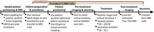 Figure 1. Overview of treatment workflow for osteoid osteoma ablation with MR-HIFU.
