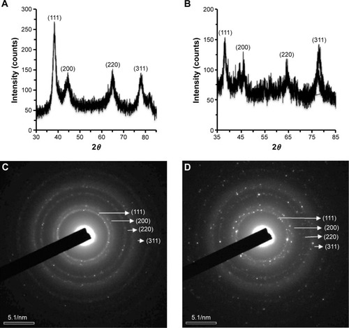 Figure 5 XRD pattern for the identification of crystallinity exhibited by the synthesized materials.Notes: (A) GBAuNPs and (B) GBAgNPs. SAED pattern indicated that an FCC crystal structure of (C) single GBAuNPs is spherical and (D) single GBAgNPs is spherical.Abbreviations: FCC, face-centered cubic; GBAgNPs, silver nanoparticles from ginseng berry; GBAuNPs, gold nanoparticles from ginseng berry; SAED, selected area electron diffraction; XRD, X-ray diffraction.