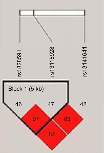 Figure 2 Linkage disequilibrium (LD) plots containing three single nucleotide polymorphisms (SNPs) from the 4q21.1 to 4q31.21.Notes: LD analysis of the HHIP in Chinese Li controls. LD is indicated using standard color schemes with bright red signifying very strong LD (LOD ≥2, D′=1).Abbreviation: LOD, likelihood of odds.