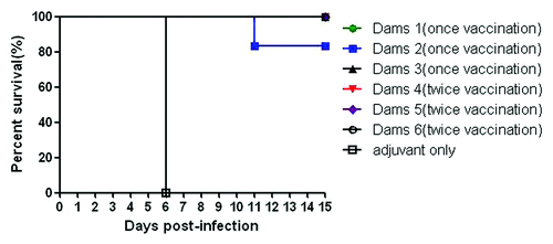 Figure 12. Maternal antibody protection studies in mice. Results are shown as Kaplan–Meier survival curves. The marternal mice (n = 8) were i.m. injected with the CA16 vaccine. After delivery (about 5 to 10 d after the boost), pups were i.c. challenged with 1 × 102 LD50 of 1131/CA16 (100 LD50/mouse) on postnatal day 3. Control mice were immunized with adjuvant only.