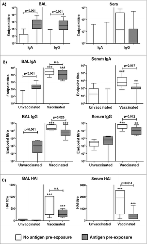 Figure 2. Antigen pre-exposure in the lung is locally immunogenic but reduces the efficacy of subsequent pulmonary influenza ISCOMATRIX™ vaccination. Study 2: (A) Influenza antigen (15 μg) alone was delivered into the lungs of sheep (n = 16). Control sheep (n = 16) were left untreated. Sera and BAL samples collected one week before and 2 weeks (optimal timepoint for measuring priming responses) after antigen delivery were analyzed for influenza-specific antibodies by ELISA. Endpoint titers are shown from post-antigen exposure samples, with titers from pre-exposure samples subtracted. (B) Commencing 3 weeks after influenza antigen exposure in the lung, half of the treated and control groups (n = 8) received 3 influenza ISCOMATRIX™ vaccinations, delivered 3 weeks apart. Sera and BAL samples were collected from all animals one week before and after the final vaccination (optimal timepoint for measuring booster responses) and analyzed for influenza-specific antibodies by ELISA. Endpoint titers shown are from post-vaccination samples with titers from pre-exposure samples subtracted. (C) Neutralizing activity on post-vaccination samples was determined by HAI assay. **P < 0.01; ***P ≤ 0.001 compared with unvaccinated controls (ANOVA).