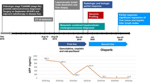 Figure 5 Treatment timeline. Treatment course of combined hepatocellular cholangiocarcinoma from August 2019 to April 2020.