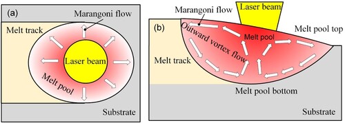 Figure 16. Schematics of Marangoni flow and its driven outward vortex flow within melt pool under different views: (a) top view and (b) longitudinal center cross-section view of melt pool.