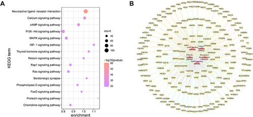 Figure 3 (A) KEGG enrichment analysis of 569 intersection targets of Wendan Decoction and Generalized Anxiety Disorder. The redder bubble is, the less P value is. (B) Network of top 5 KEGG pathways and their corresponding targets. Red nodes represent pathways. Yellow nodes represent related targets.