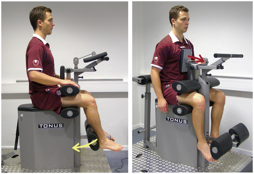 Figure 2. Position of the test person on the isometric measurement device.Note: Left: knee flexors, right: trunk flexors.