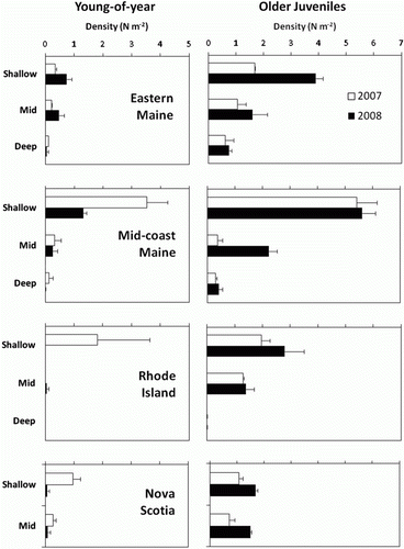 Figure 4.  Bathymetric distributions of young-of-year and older juvenile lobsters sampled by collectors during 2007 and 2008 in eastern and mid-coast Maine, Nova Scotia and Rhode Island. Shallow = 5–18 m; mid = 25–45 m; deep = 55–90 m.