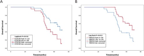 Figure 8. Kaplan-Meier overall survival analyses for CCDC80 and FBXO16 expressed in 60 patients with OC.