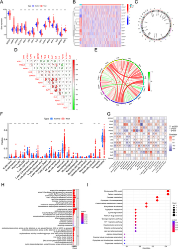 Figure 4 Differential expression and function of CRGs in sepsis, immune infiltration in patients with sepsis. (A)Boxplots showed the expression of CRGs between sepsis and non-sepsis controls. (B)The heatmap shows the expression patterns of 14 differentially expressed CRGs. (C)Chromosomes locations of the 19 CRGs. (D)Correlation analysis, red represents positive correlations, green represents negative correlations, and the correlation coefficient is represented by the area of the pie chart. (E)Correlation analysis of the 14 differentially expressed CRGs is represented by chord plots. (F)Differences in immune infiltration between sepsis and non-sepsis controls were shown in boxplots. (G) Correlation analysis between 14 differentially expressed CRGs and infiltrating immune cells. Enrichment analysis of differentially expressed CRGs in sepsis. (H)GO pathway. (I)KEGG pathway. *P < 0.05,**P < 0.01,***P < 0.001.