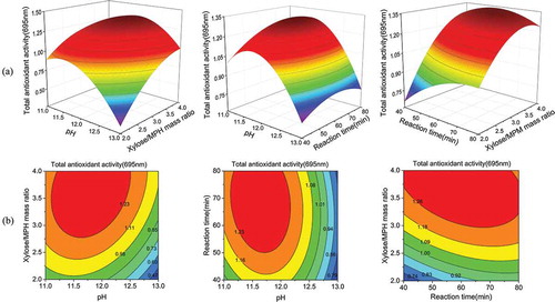 Figure 2. Response surface plots (a) and contour plots (b) showing the effects of pH (X1), xylose/MPH mass ratio (X2), and reaction time (X3, min) on the glycosylation of MPH. MPH: Morchella protein hydrolysate.Figura 2. Mapas de superficies de respuesta (a) y mapas de contorno (b) que dan cuenta de los efectos de pH (X1), relación de masa xilosa/MPH (X2), y tiempo de reacción (X3, min) en la glicosilación de MPH. MPH: proteína hidrolizada de Morchella.