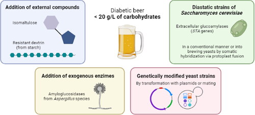 Figure 2. Different methods to produce low carb beers.