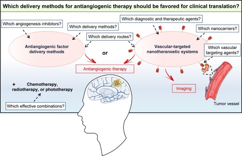 Figure 5 Which delivery methods for antiangiogenic therapy should be favored for translation into clinical practice? Antiangiogenic factor delivery methods or vascular-targeted nanotheranostic systems? Several unanswered questions must be addressed first to ensure the effective clinical translation of these systems.