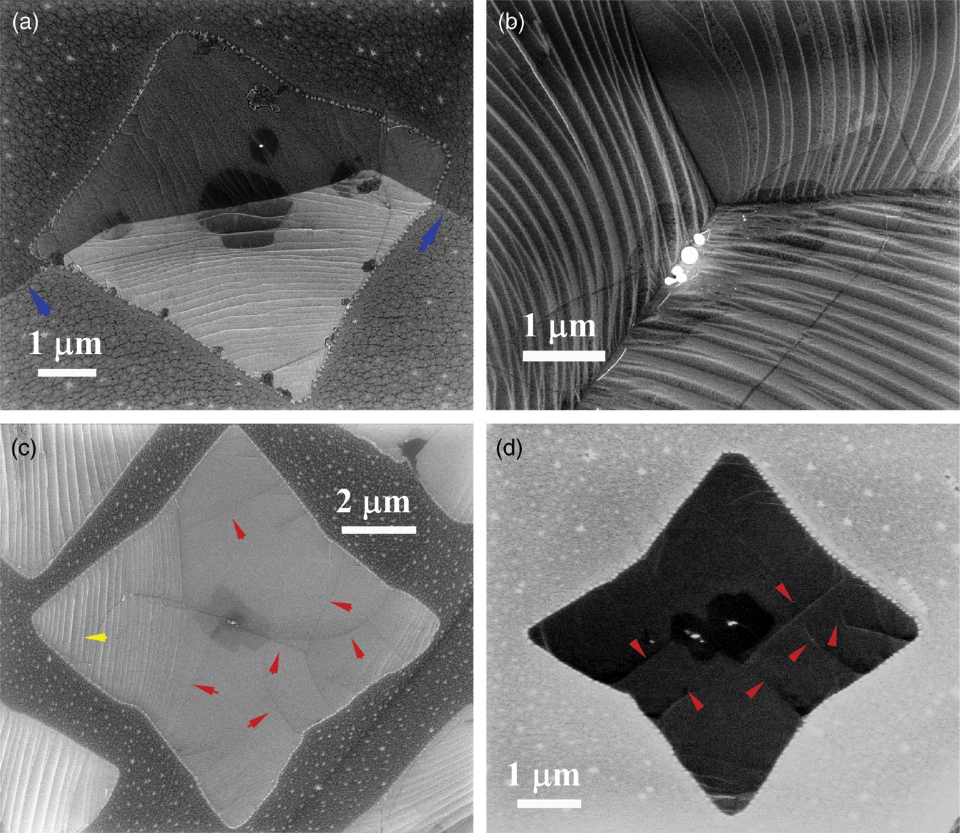 Figure 2. Typical high-magnification SEM images of ‘square’ graphene domains. (a) A ‘square’ graphene domain across the curved Cu grain boundary (blue arrows). (b) SEM image showing the difference in the directions of wrinkle stripes in the crossing point of three Cu grain boundaries. (c, d) Individual square graphene domains with wrinkles or cracks.