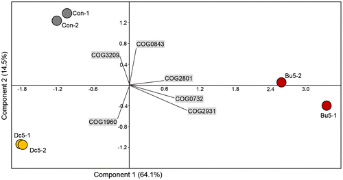 Figure 9. Similarity of biofilm communities based on the 416 COG functions identified with an abundance > 0.1% in at least one metatranscriptome, as illustrated by PCA. The abbreviations of the biofilm names are described in Figure 4 and each sample has two biological replicates (–1 and –2). The eigenvalues (percentage variance for the two principle components) and COGs that contribute most heavily to the variations are indicated in the figure. COG3209, Rhs family protein; COG0843, heme/copper-type cytochrome/quinol oxidases; COG2801, transposase and inactivated derivatives; COG0732, HsdS restriction endonuclease S subunits; COG2931, RTX toxins and related Ca2+-binding proteins; COG1960, acyl-coenzyme A dehydrogenases.