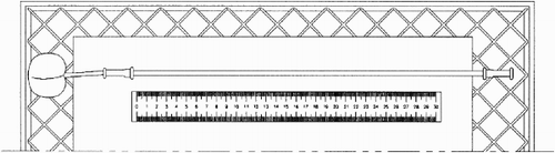 Fig. 1 Schematically shown potometric apparatus modified to measure water uptake in cherry fruit pedicels. A fruit is mounted in the end of a waterfilled capillary glass tube through a rubber tubing. The glass tube is mounted parallell to a metric scale on a rectangular piece of cardboard. The apparatus is placed horizontally onto a grate and readings are made every 15 min.