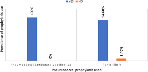 Figure 1 Pneumococcal prophylaxis use among children with SCD (n = 204).