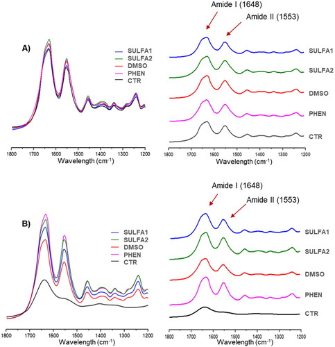 Figure 4. Representative FT-IR spectra after inhibitor application (A) and after storage in collagenase solution for 15 days (B).