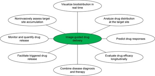 Figure 1 Schematic representation of applications of nanotheranostics and image-guided drug delivery to improve curative effect.Notes: Reprinted with permission from Lammers T, Kiessling F, Hennink WE, Storm G. Nanotheranostics and image-guided drug delivery current concepts and future direction. Mol Pharm. 2010;7:1899–1912.Citation5 Copyright 2010, American Chemical Society.