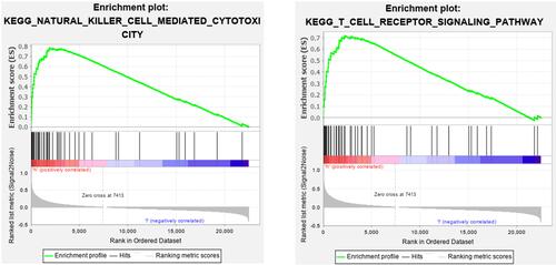 Figure 9 Gene set enrichment analysis of CSF1R.