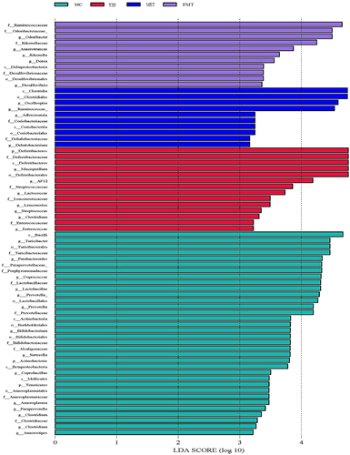 Figure 5 LEfSe analysis LDA histogram. Each horizontal column represents one species. The length of the column corresponds to the LDA value. The higher the LDA value, the greater the difference in this species among different groups. The characteristic microorganisms of different groups with high abundance are color coded.