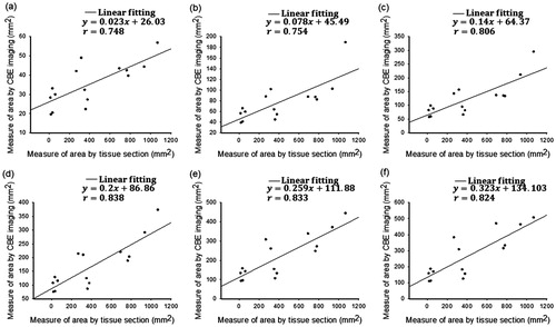 Figure 9. Relationships between the ablation size obtained from gross examination and the SCBE values estimated using CBE¯|η>0 images by applying various contour criteria. (a) − 1 dB; (b) − 2 dB; (c) − 3 dB; (d) − 4 dB; (e) − 5 dB; (f) − 6 dB. When the proposed CBE¯|η>0 image was used, the correlation coefficients r between SCBE and ablation sizes significantly increased. Analyses of CBE¯|η>0 images using the more than −3-dB contour criterion produced an r value of >0.8.