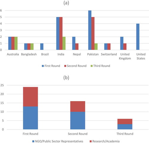 Figure 2. (a): Number of participating experts and their country of origin for all Delphi rounds. (b): Number of participating experts and their background based on inclusion criteria for all Delphi rounds