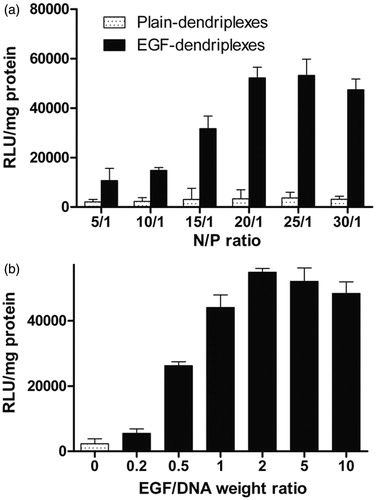 Figure 3. Optimization of N/P ratios and EGF/DNA weight ratios: a. Luciferase expression in HepG2 cells transfected with different complexes with different PAMAM/DNA N/P ratios. The weight ratio of EGF/DNA is 2. b. Luciferase expression in HepG2 cells transfected with different complexes with different EGF/DNA weight ratios. The PAMAM/DNA N/P weight ratio of is 20.