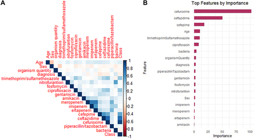 Figure 3 Feature selection for an ESBL prediction automation system. (A) Heatmap of correlation coefficients between features and class (ESBL). Bluer colors indicate stronger positive correlations and redder colors indicate stronger negative correlations. (B) Feature importance ranking using Random Forest, based on the Mean Decrease Gini index. The features are sorted by importance, and the top features are visualized.