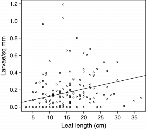 Figure 2  Number of Trichosirocalus horridus larvae per unit area (mm2) of Carduus nutans crown at growing rosette size as indicated by longest leaf length (cm). N larvae=0.041 + leaf length (cm)×0.009, F 1,170=15.63, P<0.001, adjusted r 2=0.079.