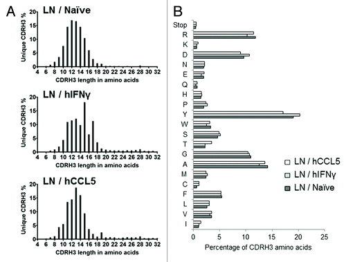 Figure 2. Assessment of the murine nature of CDRH3 repertoires. (A) Length profile of CDRH3 represented as the percentage of unique CDRH3 in function of their length in amino acids. (B) Amino acid composition profile of unique CDRH3 of all lengths. The few stop codons found are likely due to cloning or sequencing errors. This analysis was performed by NGS.