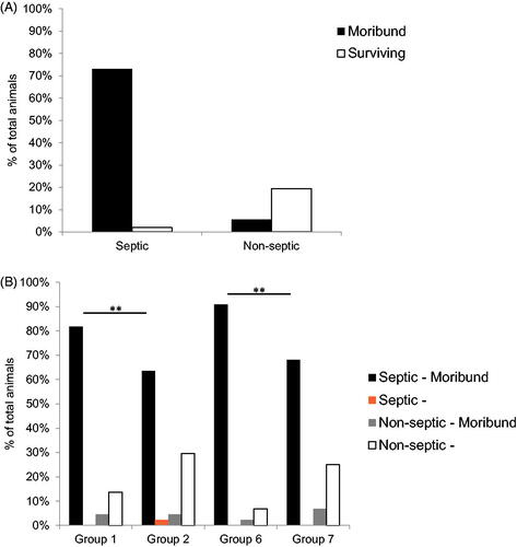 Figure 4. Percentage of animals with sepsis following irradiation and treatment with sargramostim and/or azithromycin. (A) Percentage of total animals across all groups, both moribund and surviving, presenting as septic or non-septic (n = 308). Septic is defined as animals presenting with at least two positive bacteriology results in organ and blood culture. (B) Percentage of total animals within each group, both moribund and surviving, presenting as septic or non-septic (n = 44 per group; 22 males and 22 females). Group 1 (reference item/vehicle 48 h); Group 2 (sargramostim 48 h); Group 6 (reference item/vehicle 48 h + azithromycin); Group 7 (sargramostim 48 h + azithromycin). **p≤.01.