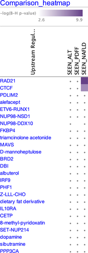 Figure 2. IPA Results for upstream regulators.