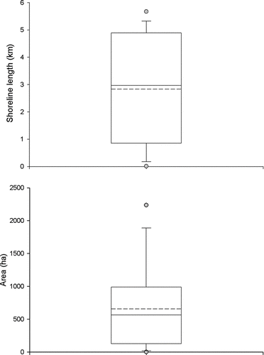 FIGURE 4 Box plots of shoreline length and area measured from modified minimum convex polygons used to describe habitat for 14 resident bull trout from Skagit Bay. Plots describe the 25% (bottom line) and 75% (top line) percentiles, median (solid line inside box), mean (dashed line), whiskers (10th and 90th percentiles), and outliers (circles).