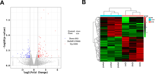 Figure 2 Identification of DEGs between ICH and sham rats.