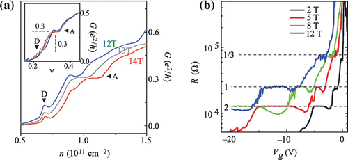 Figure 6. (a) FQHE observation in suspended graphene for the filling 0.3 (1 / 3) in a field of 12–14 T with the concentration of 1011 cm-2 and the mobility of 250,000 cm2V-1s-1; (b) FQHE singularities in suspended graphene for the filling 13 in a field of 2–12 T with the concentration of 1010 cm-2 and the mobility of 200,000 cm2V-1s-1 (after [Citation28,Citation29]).